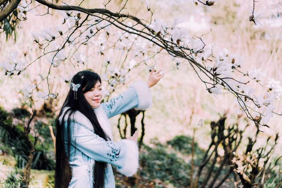 逃离棕榈树森林